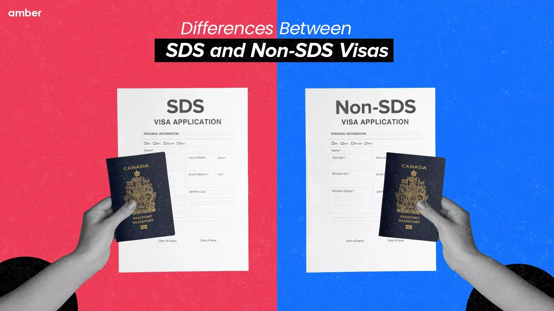 Unveiling the Differences Between SDS and NonSDS Visas Amber